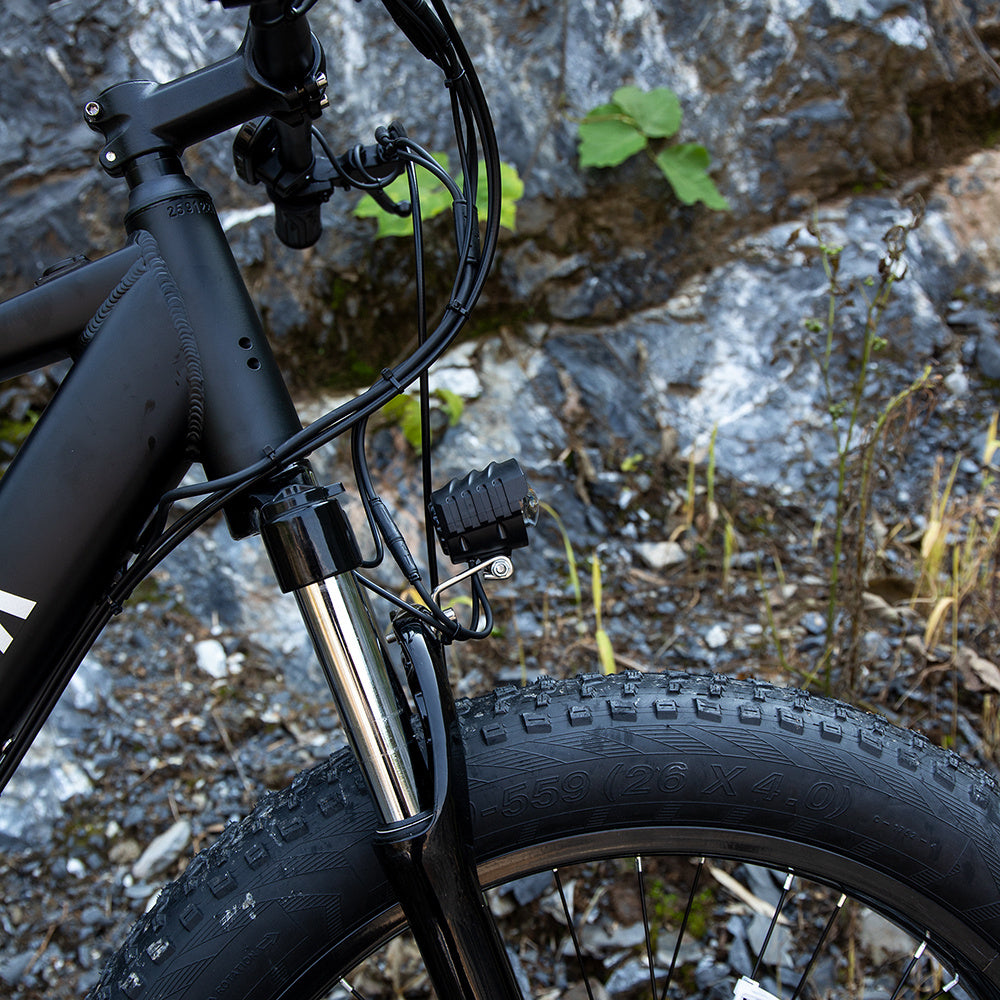 SivRock-Professional Electric Bike