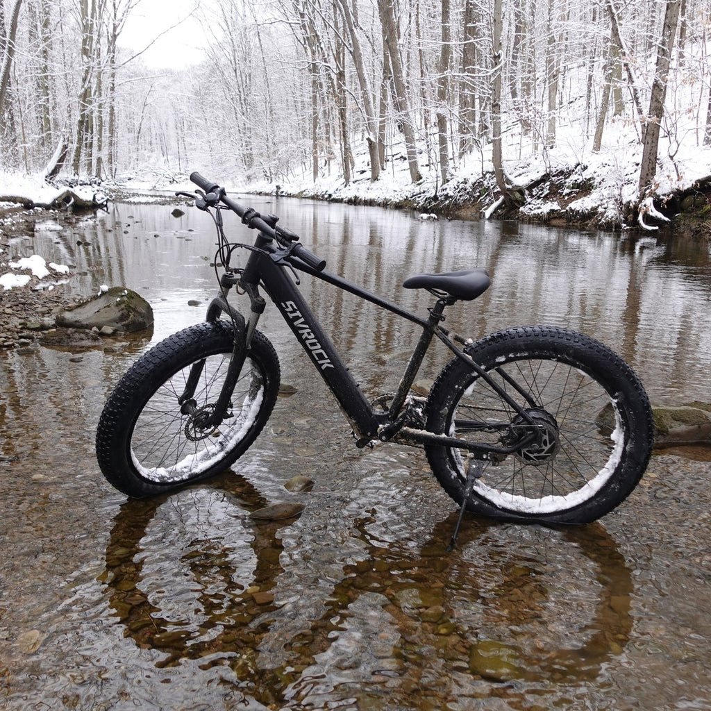 SivRock-Professional Electric Bike