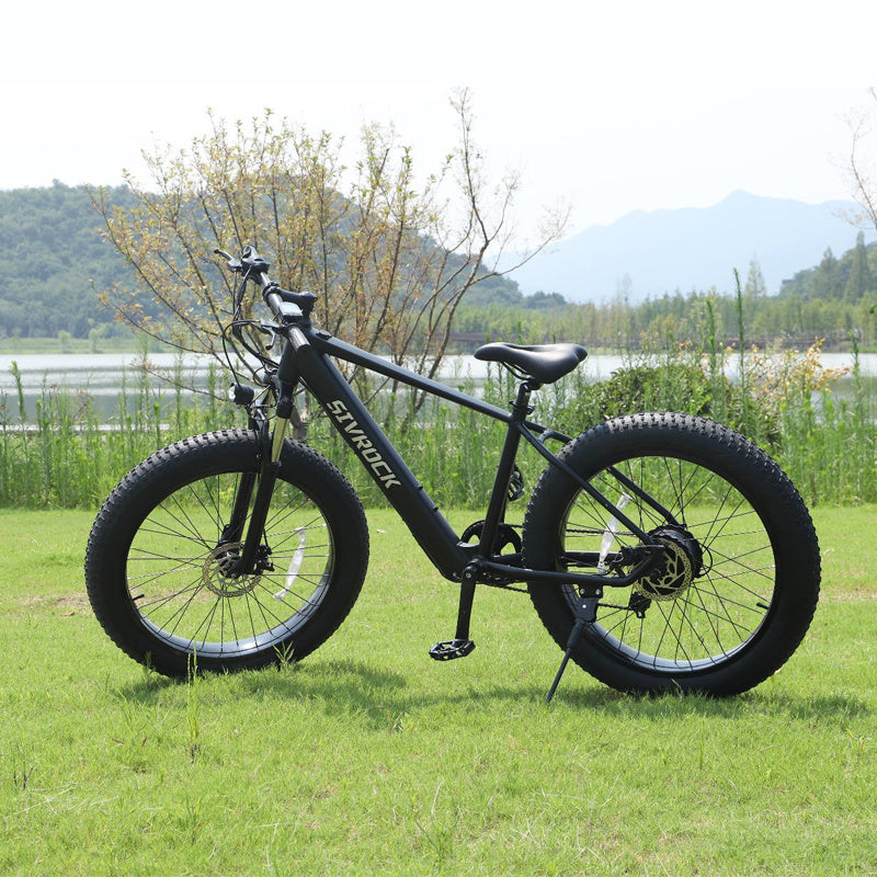 SivRock-Professional Electric Bike
