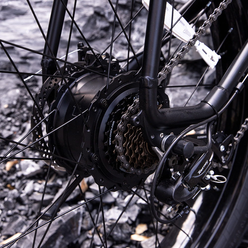 SivRock-Professional Electric Bike