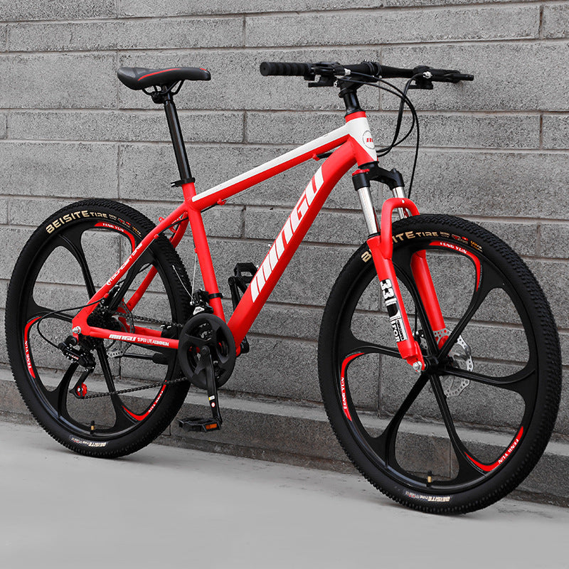 Mountain Bike Bicycle Absorption Bicycle Variable Speed Bicycle