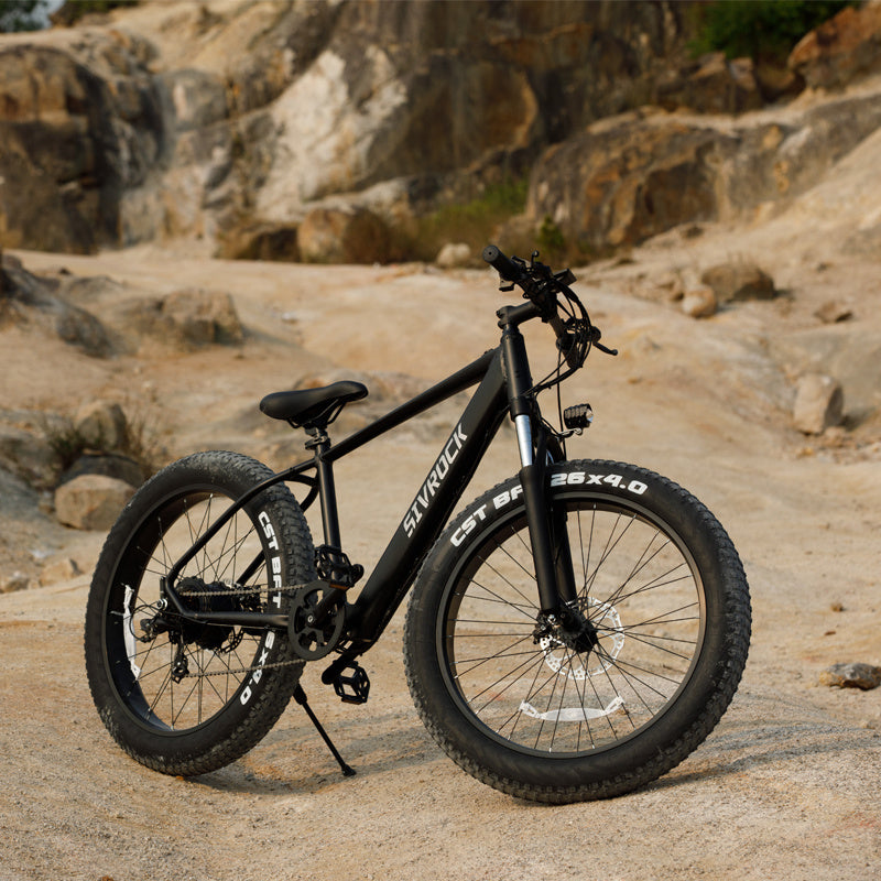SivRock-Professional Electric Bike