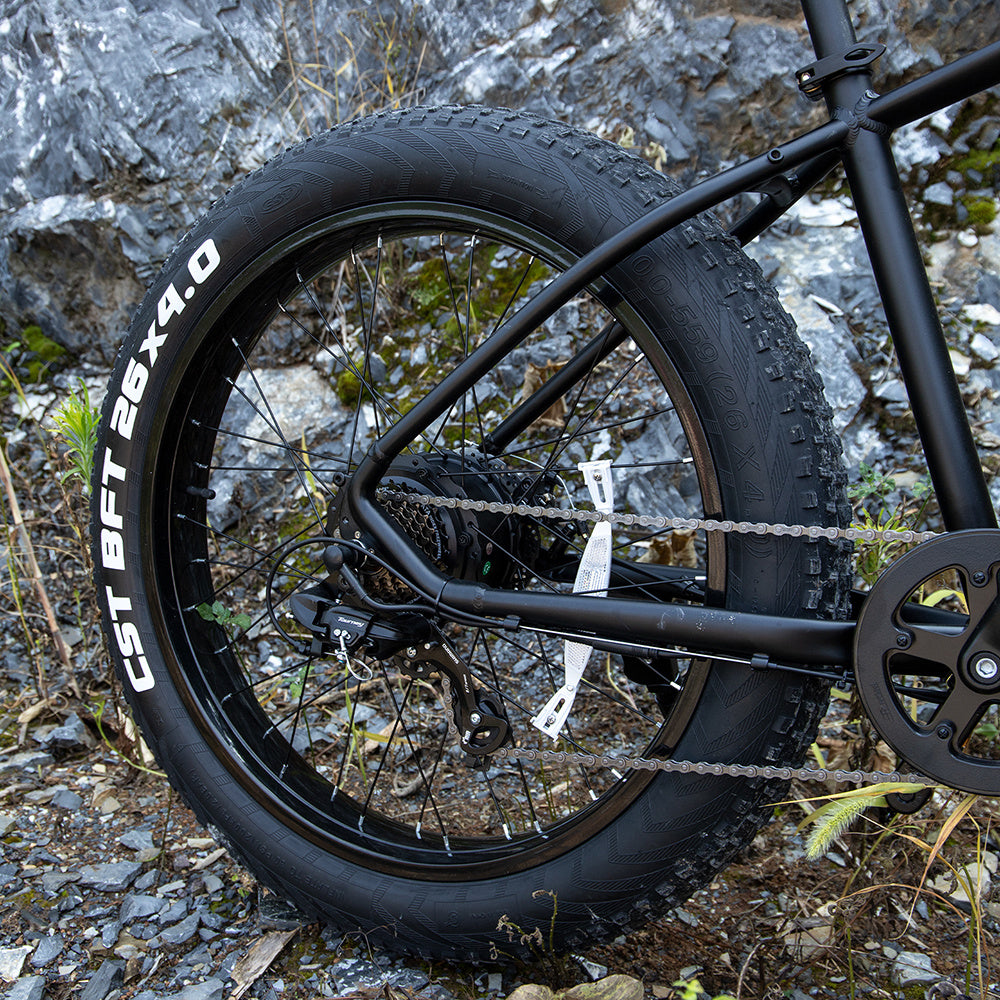 SivRock-Professional Electric Bike